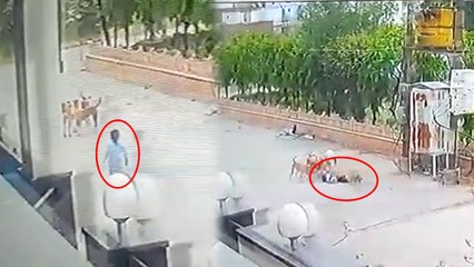 video: घर के बाहर खेल रहे तीन साल के बच्चे पर 5 कुत्तों ने किया हमला