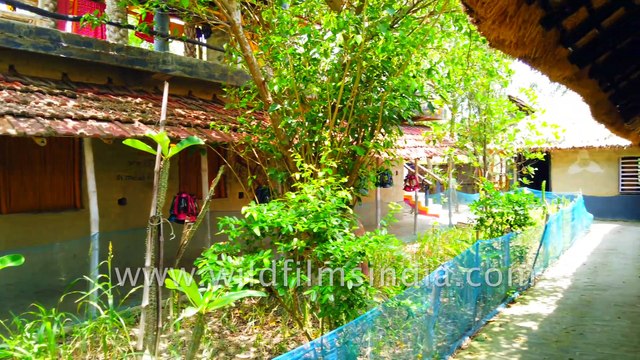 Best place to stay in Sundarban - Inside the Bagpackers Eco Village Satjelia , Datta River, West Bengal. 4k footage