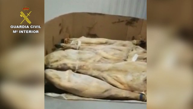 Intervenidos más de 10.000 jamones y embutidos en mal estado