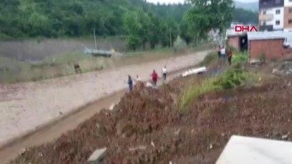 TRABZON Selin sürüklediği odunlar deniz yüzeyini kapladı