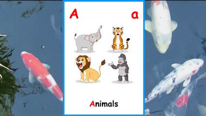 Abcd With Many Vocabularies, Pictures And Sounds For Children