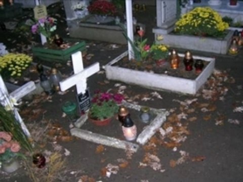 Poland aiesec internship wroclaw 2007/2008