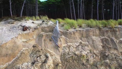 [TEASER] Les Landes de Gascogne : le vent l'emportera - 17/07/2019