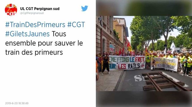Le train de primeurs Perpignan - Rungis n'est pas (encore) sauvé