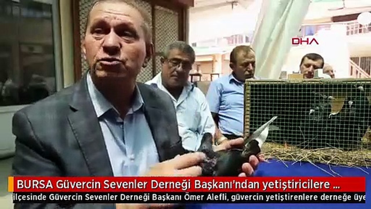 BURSA Güvercin Sevenler Derneği Başkanı'ndan yetiştiricilere Derneğimize üye olsunlar