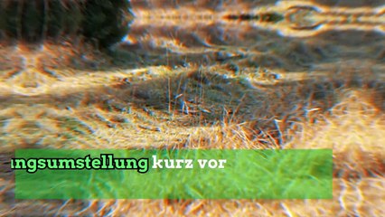 Trail: diese schlechten Gewohnheiten sollte man loswerden