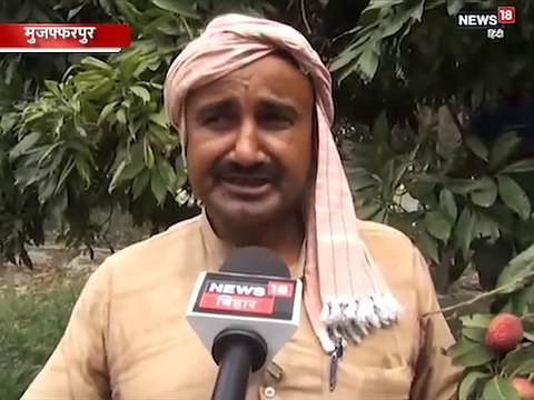 मुजफ्फरपुर: लीची नहीं है 156 बच्चों का कातिल, तो क्या है चमकी बुखार के पीछे की वजह