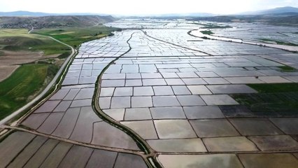 Beyaz altın tarlaları havadan görüntülendi! Ortaya kartpostallık görüntüler çıktı