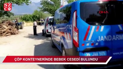 Download Video: Çöp konteynerinde bebek cesedi bulundu