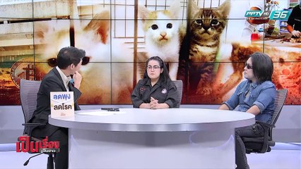 เป็นเรื่อง เป็นข่าว – สู้คดี! “ทารุณแมว” (1/2)