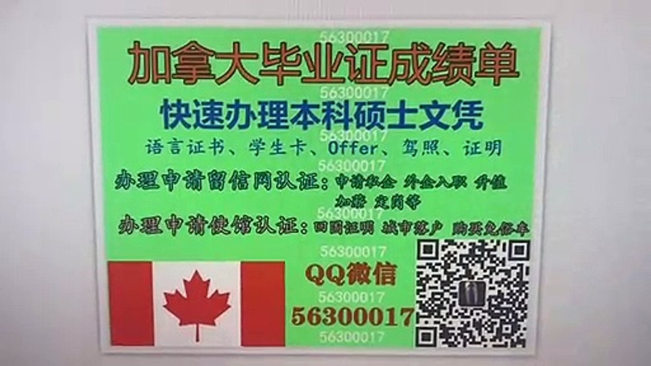 办加拿大毕业证UA文凭（阿尔伯塔大学毕业证成绩单）微信56300 017办理本科留信认证硕士使馆认证学生卡Offer