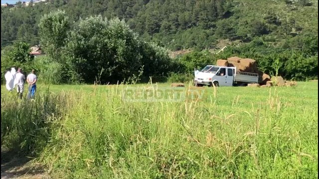 Report TV - Debati për pronën, vritet me armë zjarri nga miku i familjes një person në Lezhë