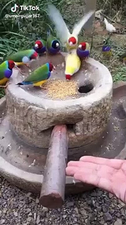 VID-20190504-WA0026[1]