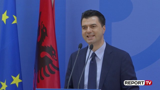 Përgjimet e BILD/ Basha: Rama timonieri i vjedhjes së zgjedhjeve, boll më!