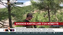 Amanos Kartalları 7/24 nöbette