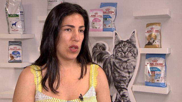 Claves para unas vacaciones con mascotas