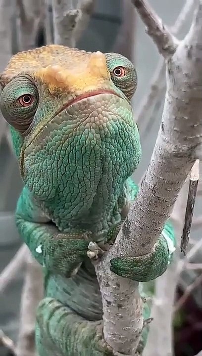 A new guy go for being high at work in garden