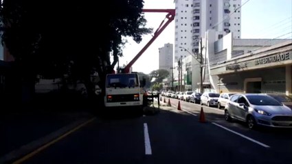 Download Video: Cettrans orienta trânsito na Rua Paraná durante poda de árvores