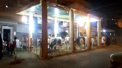 Nazimabad k janwar aur bakra eid ki raat outing - vlog #10
