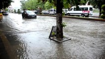 ZONGULDAK Alaplı'da çay taştı, ev ve iş yerlerini su bastı