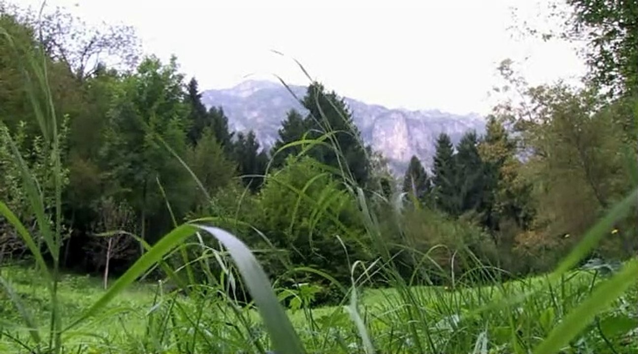 Lugarì