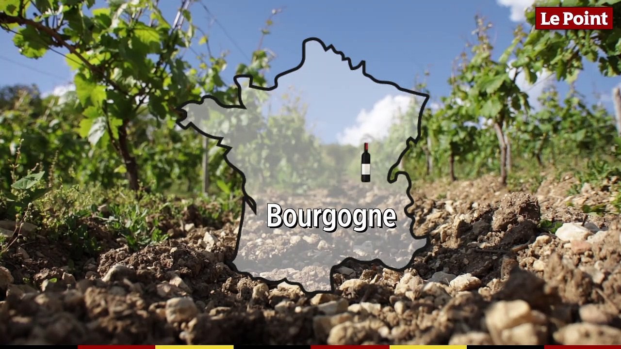 La route des vins  : Bourgogne