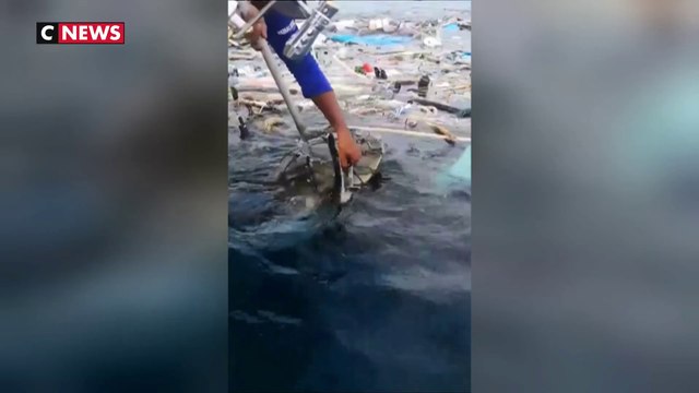 Thaïlande : deux tortues sauvées de déchets plastiques