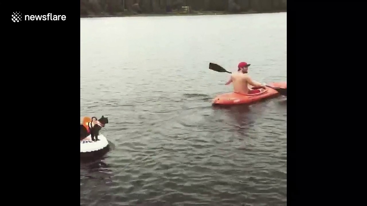 Adventurous cat goes kayaking with his owner in...