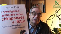 Interview 3 de Pascal Picq : L’homme a-t-il perdu la main?