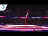 Jan WYSOCKI (POL) - 2018 Artistic Gymnastics Europeans, junior qualification horizontal bar