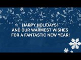 Happy Holidays and a fantastic New Year!