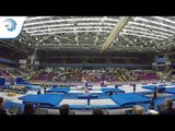 Alex BRADSHAW & Rhys NORTHOVER (GBR) - 2016 Trampoline Synchro junior Europeans, final