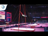 Alberto TALLON (ESP) - 2018 Artistic Gymnastics Europeans, qualification rings