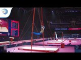 Igor RADIVILOV (UKR) - 2018 Artistic Gymnastics Europeans, qualification rings