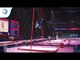 Loris FRASCA (FRA) - 2018 Artistic Gymnastics Europeans, qualification rings