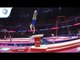 Vlasios MARAS (GRE) - 2018 Artistic Gymnastics Europeans, qualification vault