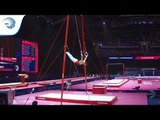 Benjamin GISCHARD (SUI) - 2018 Artistic Gymnastics Europeans, qualification rings