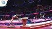 Matthias SCHWAB (AUT) - 2018 Artistic Gymnastics Europeans, qualification vault