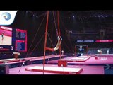 Joachim WINTHER (DEN) - 2018 Artistic Gymnastics Europeans, qualification rings