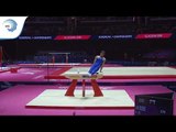 Georgios CHATZIEFSTATHIOU (GRE) - 2018 Artistic Gymnastics Europeans, qualification pommel horse