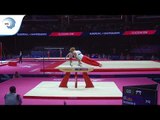 Dariy MOROZOV (AZE) - 2018 Artistic Gymnastics Europeans, qualification pommel horse