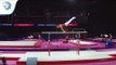 Adam BABOS (HUN) - 2018 Artistic Gymnastics Europeans, qualification parallel bars