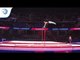 Krisztian BONCSER (HUN) - 2018 Artistic Gymnastics Europeans, qualification high bar