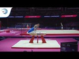 Ilias GEORGIOU (CYP) - 2018 Artistic Gymnastics Europeans, qualification pommel horse