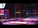Bart DEURLOO (NED) - 2018 Artistic Gymnastics Europeans, qualification rings