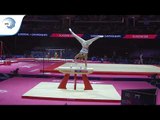 Stian SKJERAHAUG (NOR) - 2018 Artistic Gymnastics Europeans, qualification pommel horse
