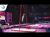 Vitalijs KARDASOVS (LAT) - 2018 Artistic Gymnastics Europeans, qualification rings