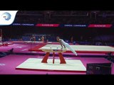 Sofus HEGGEMSNES (NOR) - 2018 Artistic Gymnastics Europeans, qualification pommel horse