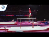 Piotr WIECZOREK (POL) - 2018 Artistic Gymnastics Europeans, qualification parallel bars