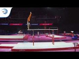 Frank RIJKEN (NED) - 2018 Artistic Gymnastics Europeans, qualification parallel bars